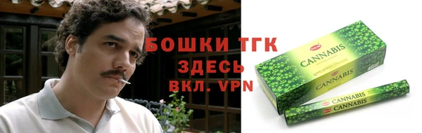 трава Арсеньев