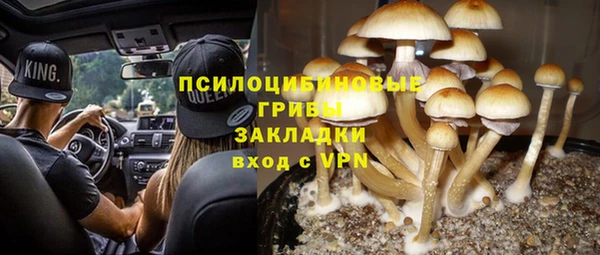 ешки Балахна