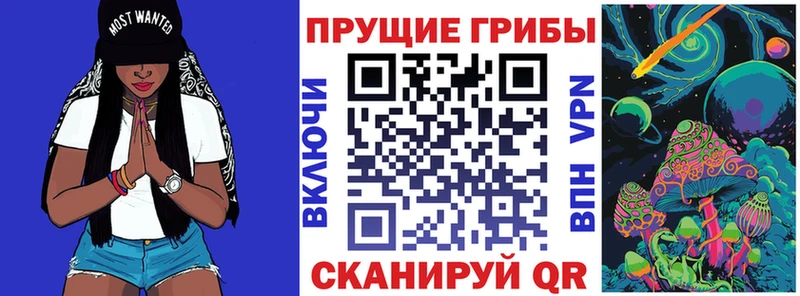 Купить где  Углич  Галлюциногенные грибы Cubensis 